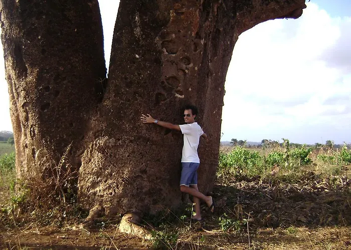 Beni Benius